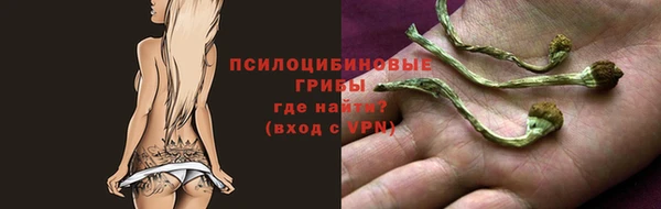 соль курить ск Вязьма