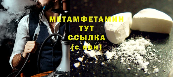 гидра Тавда