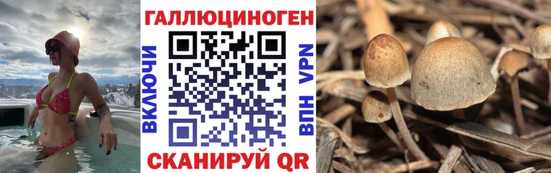 Псилоцибиновые грибы прущие грибы  Сарапул 